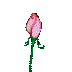 roserose